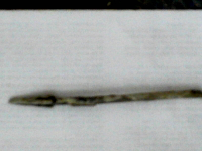 Closeup 2