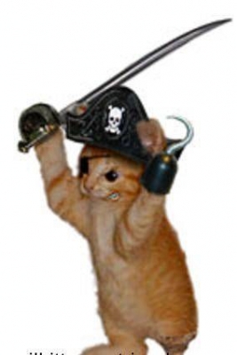 piratekitty.jpg