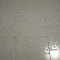 FILE0016.JPG