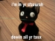 lolcat4.jpg