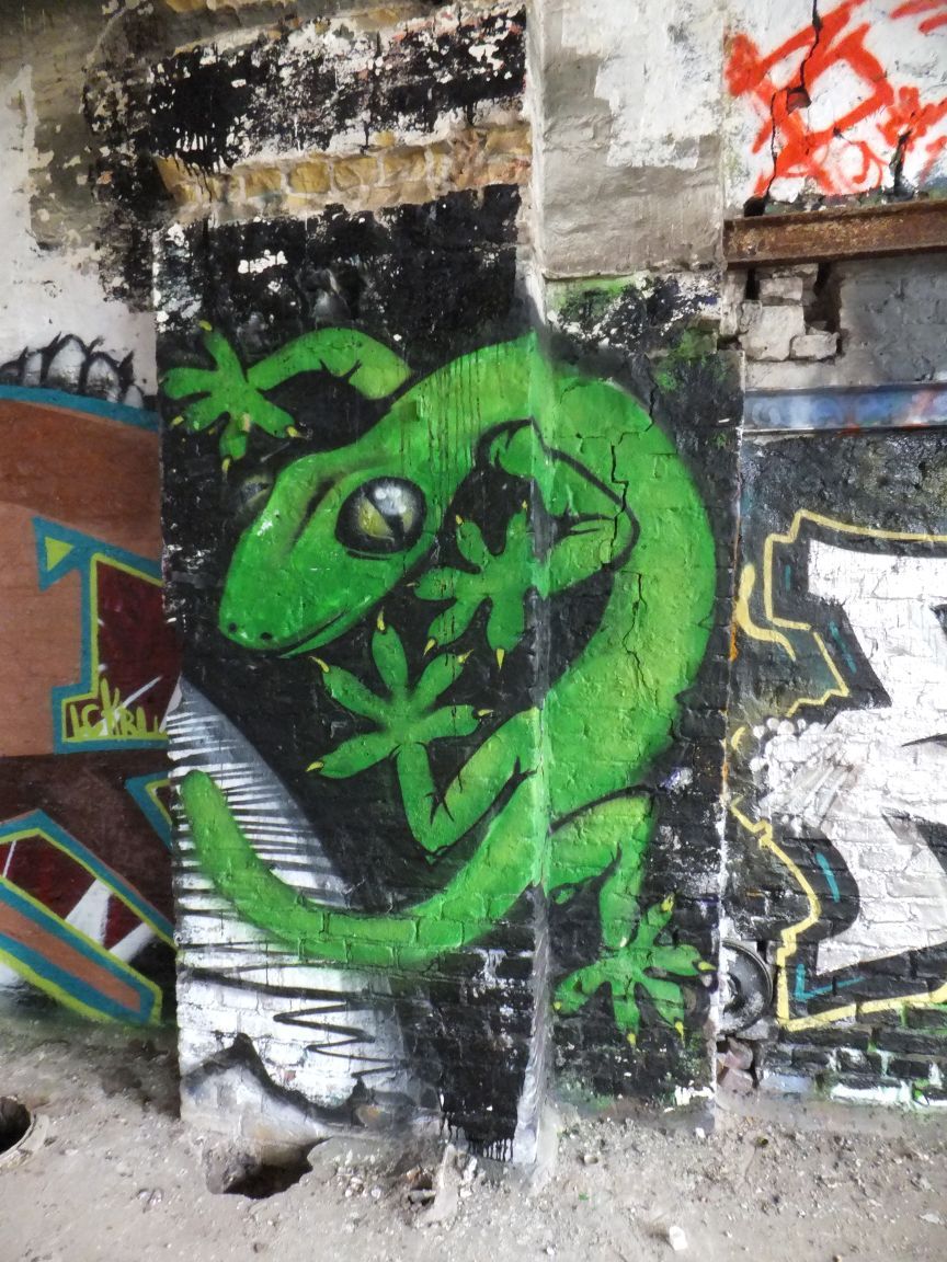 dscf1698105700.jpg