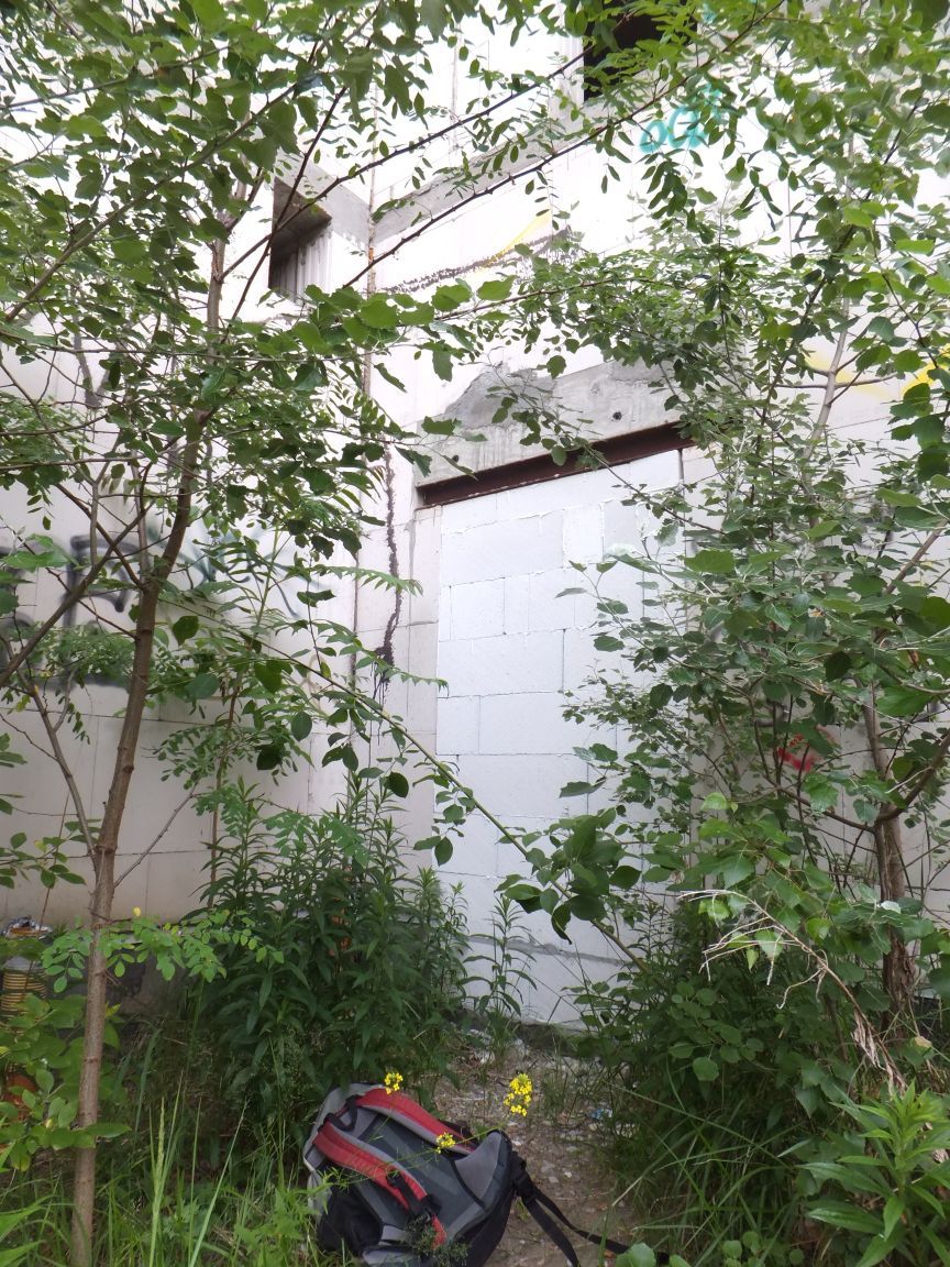 dscf1733105726.jpg