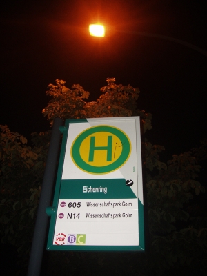 9.JPG