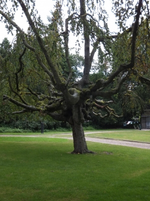 DSCF2139.JPG