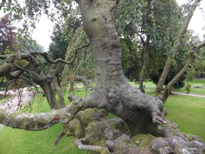 DSCF2142.JPG