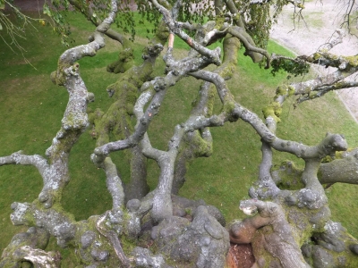 DSCF2144.JPG
