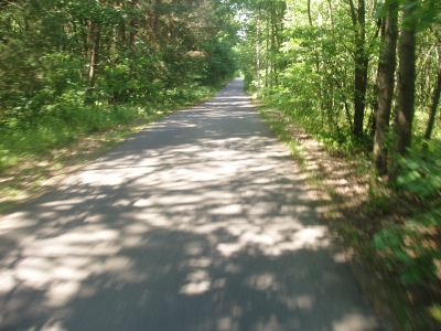 P1010059.JPG