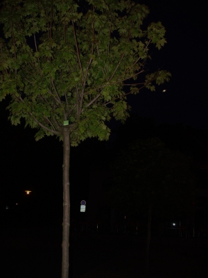 P1010097.JPG