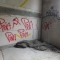 DSCF1852.JPG