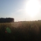 P1010072.JPG