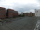 DSCF1705.JPG