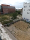 DSCF1706.JPG