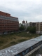 DSCF1716.JPG