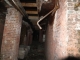 DSCF1719.JPG