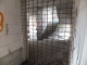 DSCF1743.JPG