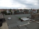 DSCF1786.JPG