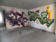 DSCF1795.JPG