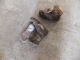 DSCF1811.JPG