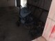 DSCF1836.JPG