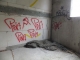 DSCF1852.JPG