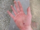 DSCF1891.JPG