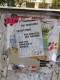 DSCF2234.JPG