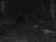 DSCF2279.JPG