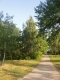 P1010003.JPG