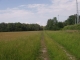 P1010017.JPG
