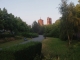 P1010019.JPG
