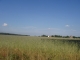 P1010066.JPG