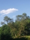 P1010068.JPG