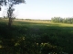 P1010070.JPG