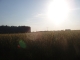 P1010072.JPG