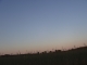 P1010074.JPG