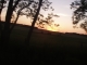P1010078.JPG