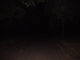 P1010084.JPG