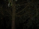 P1010096.JPG