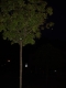 P1010097.JPG
