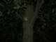 P1010099.JPG