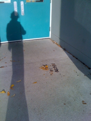 Street Art.jpg