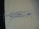 rough draft