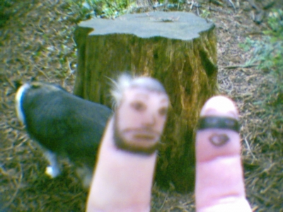 sumo marks the spot, as well