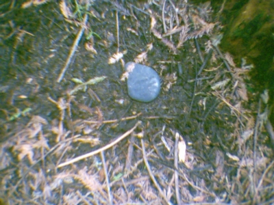 rock marks the spot.