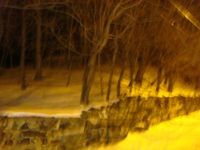 Here's part of a haunted forest.  True story - it's next to the cemetary for nuns