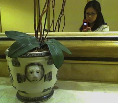 ScaryScreamingMonkeyFace pot