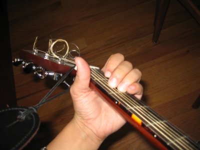 Guitar