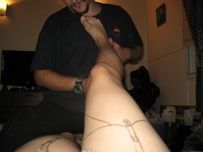 starting the fencenet