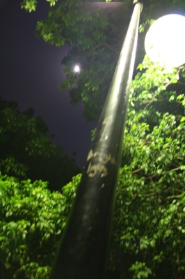 Bright Lights Bright Lights