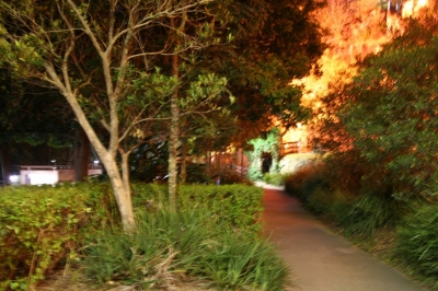 past lovingly tended gardens past lovingly tended gardens